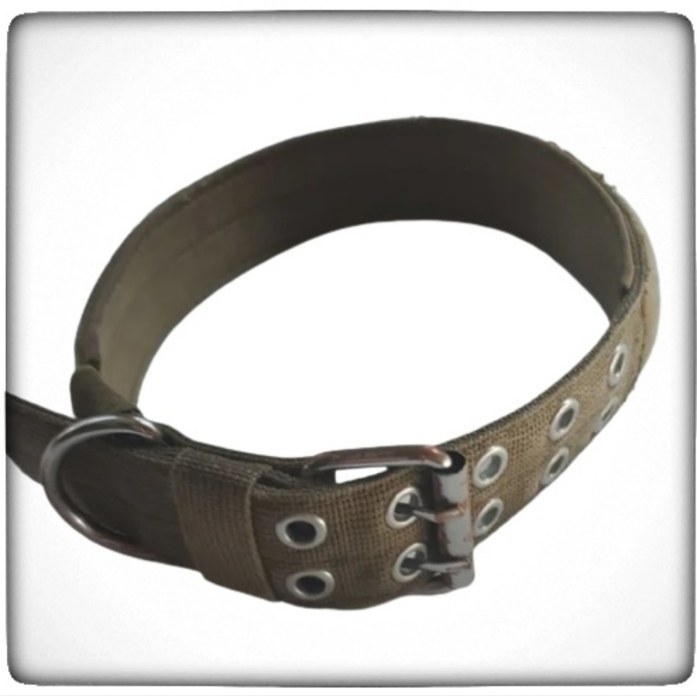 Tactical Dog Collar Used-Large